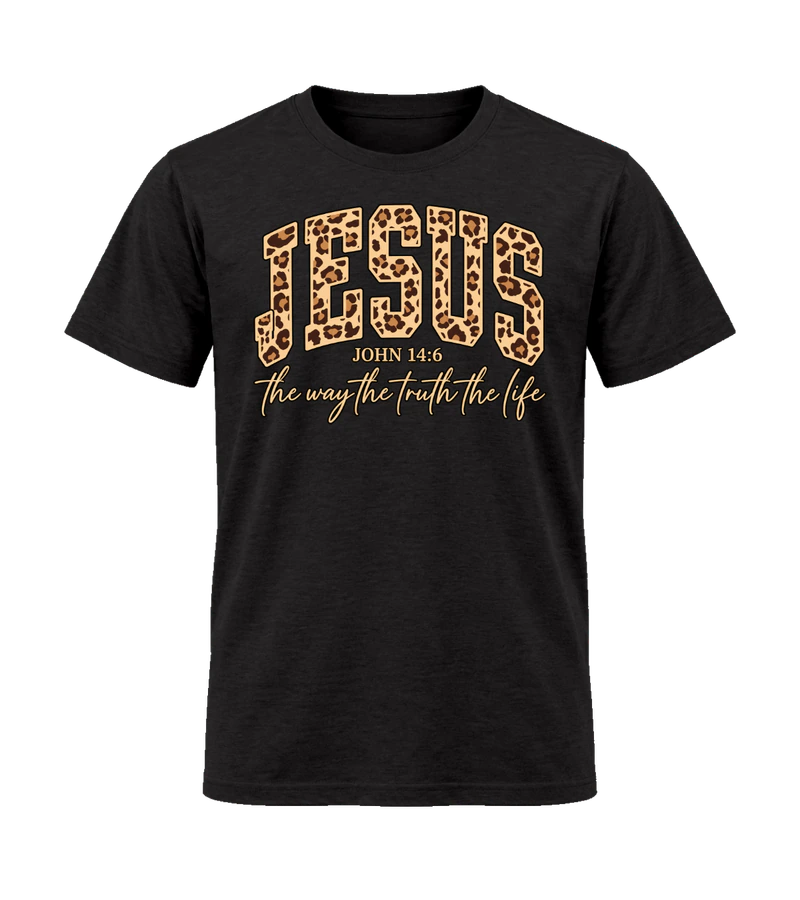front view of Jesus The Way The Truth The Life on Black Gildan 64000 Softstyle Shirt
